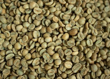 Green coffee: benefits and uses