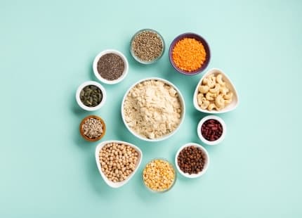 Best Vegan Protein Powders of 2026: 10 Top Picks for Every Need