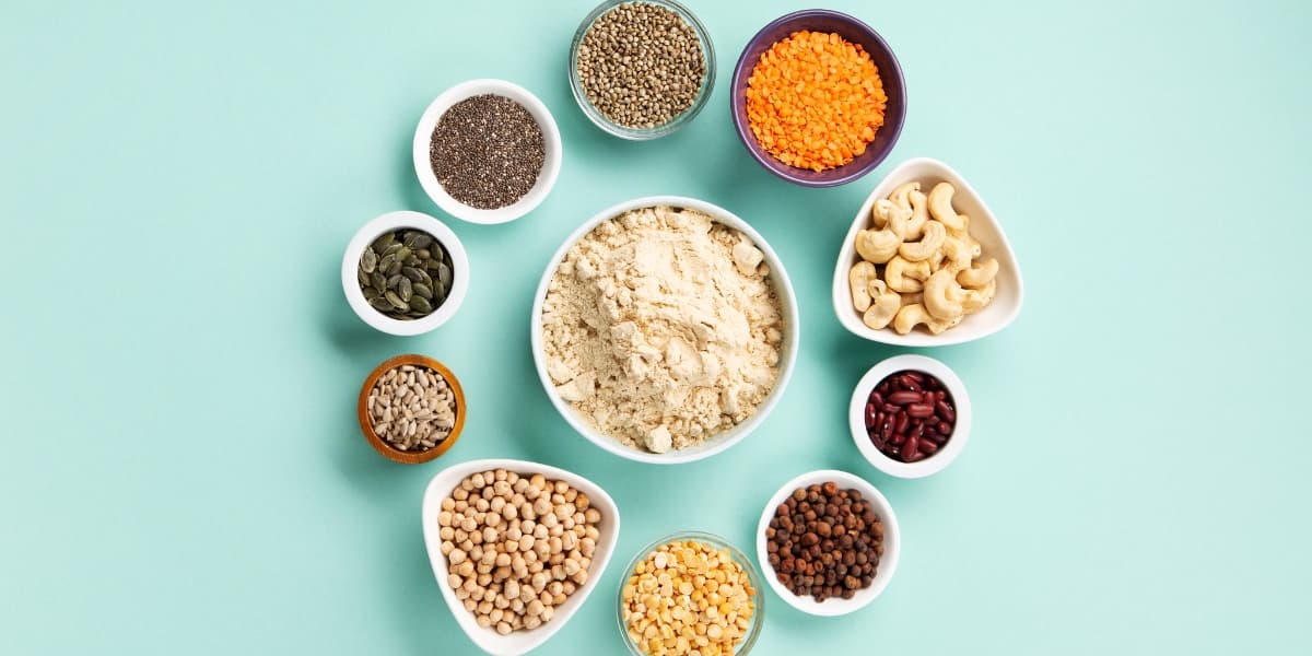 Best Vegan Protein Powders of 2026: 10 Top Picks for Every Need