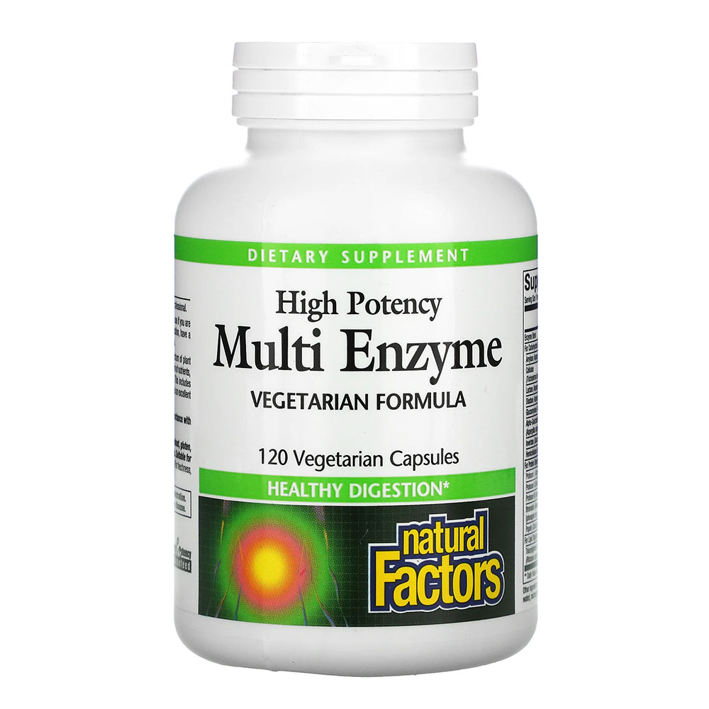 Natural Factors Multi Enzyme High Potency, 120 Capsules