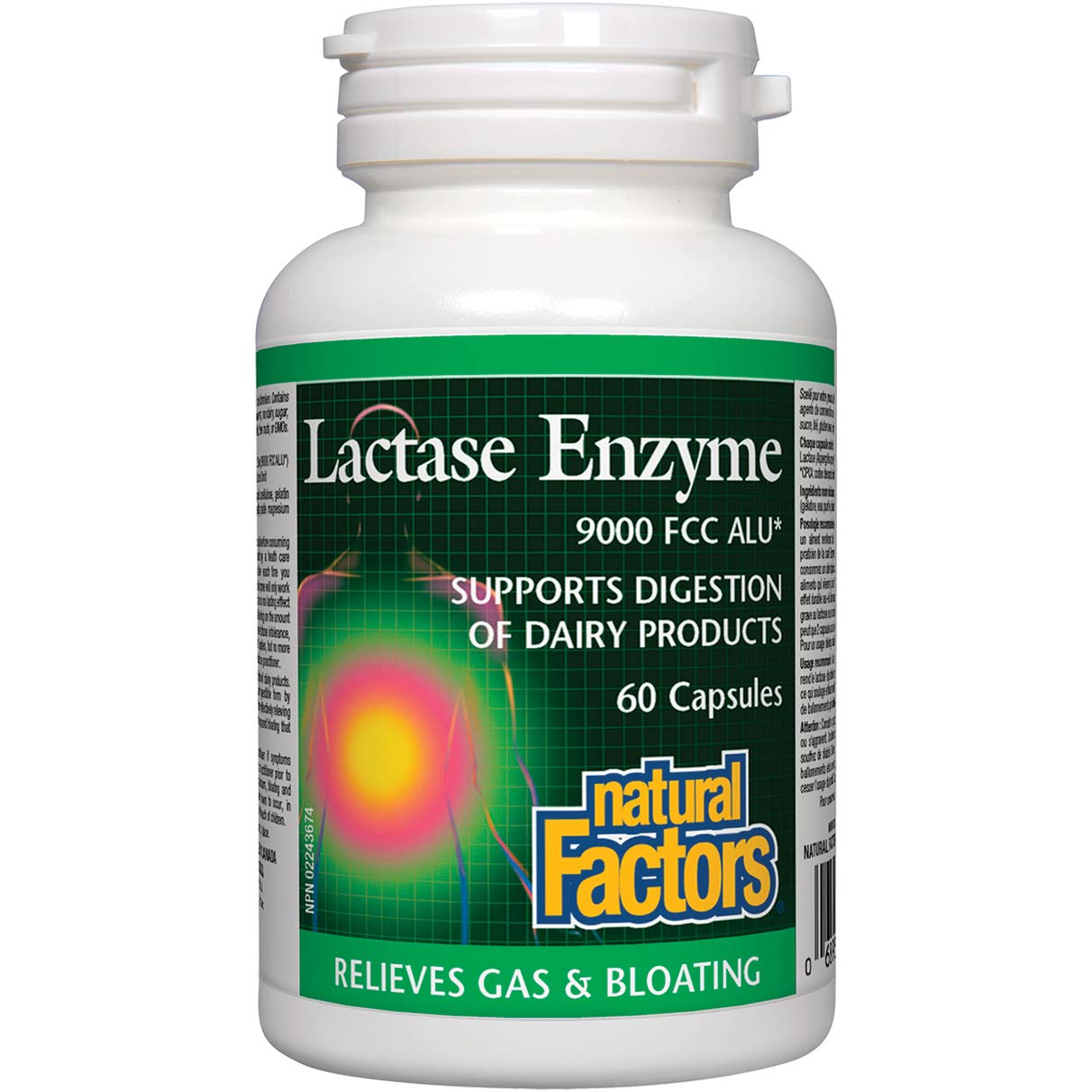 Natural Factors Lactase Enzyme 60 Capsules